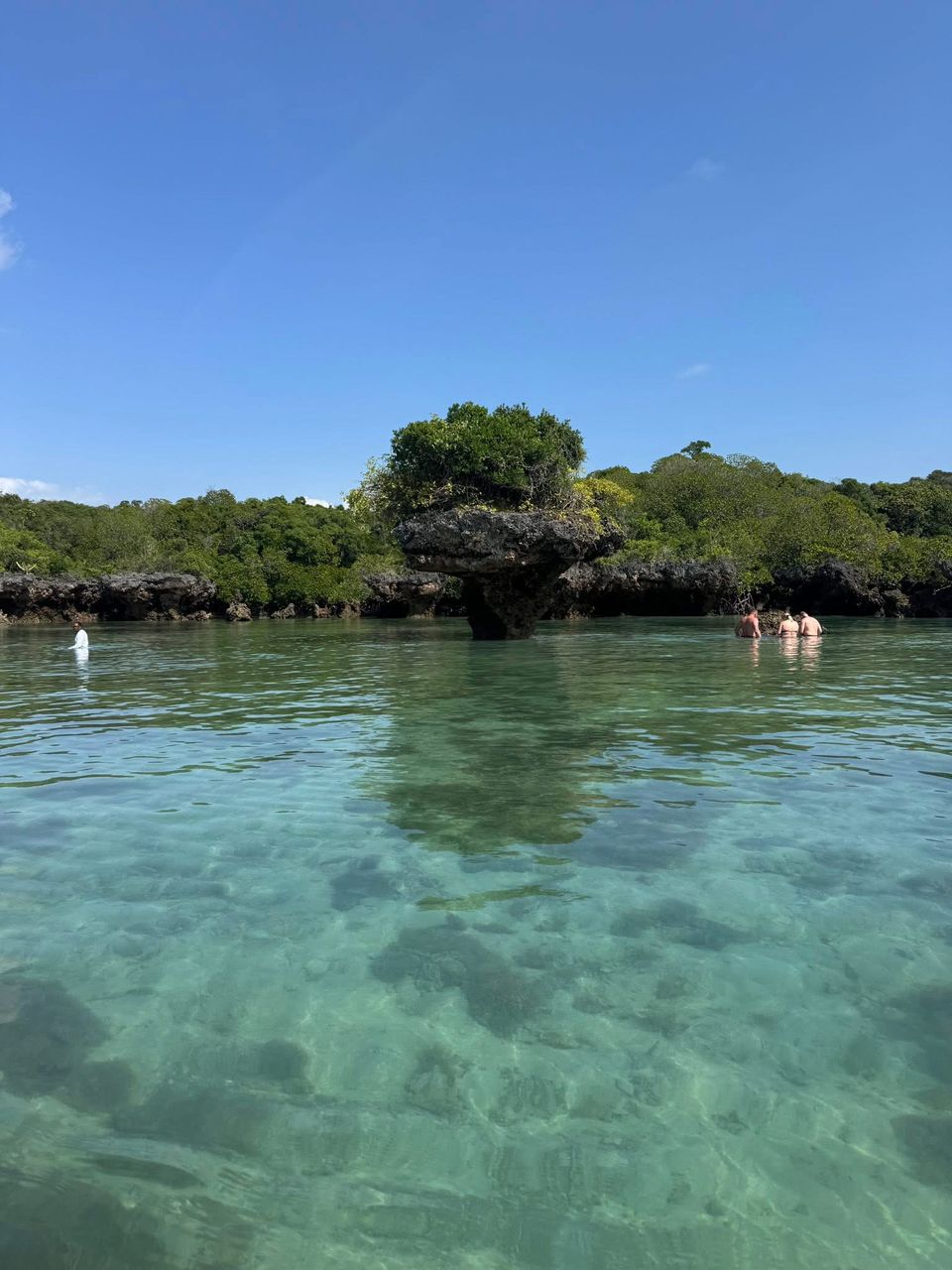 Biała plaża z palmami i krystalicznie czysta turkusowa woda